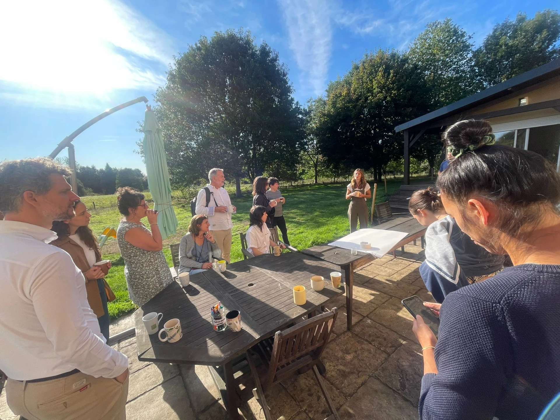 Bocage normand au lever du soleil