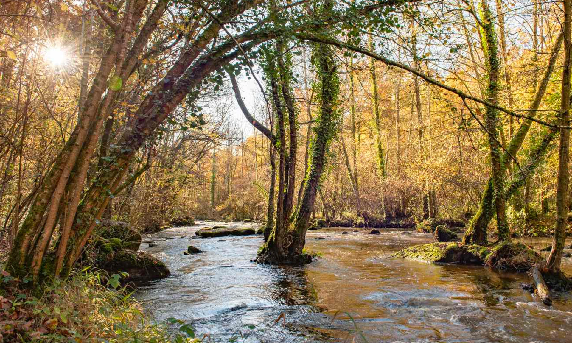 Gorges de la Rouvre — bassin versant de l'Orne